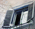Window with open shutters and branches in front, against a light background
