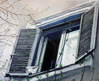 Window with open shutters and branches in front, against a light background