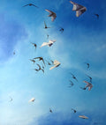 Birds flying against a blue sky