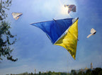Colorful kites flying against a blue sky with trees and a building in the background.