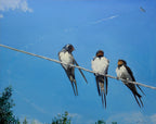 Three birds perched on a wire against a blue sky with a plane in the distance.