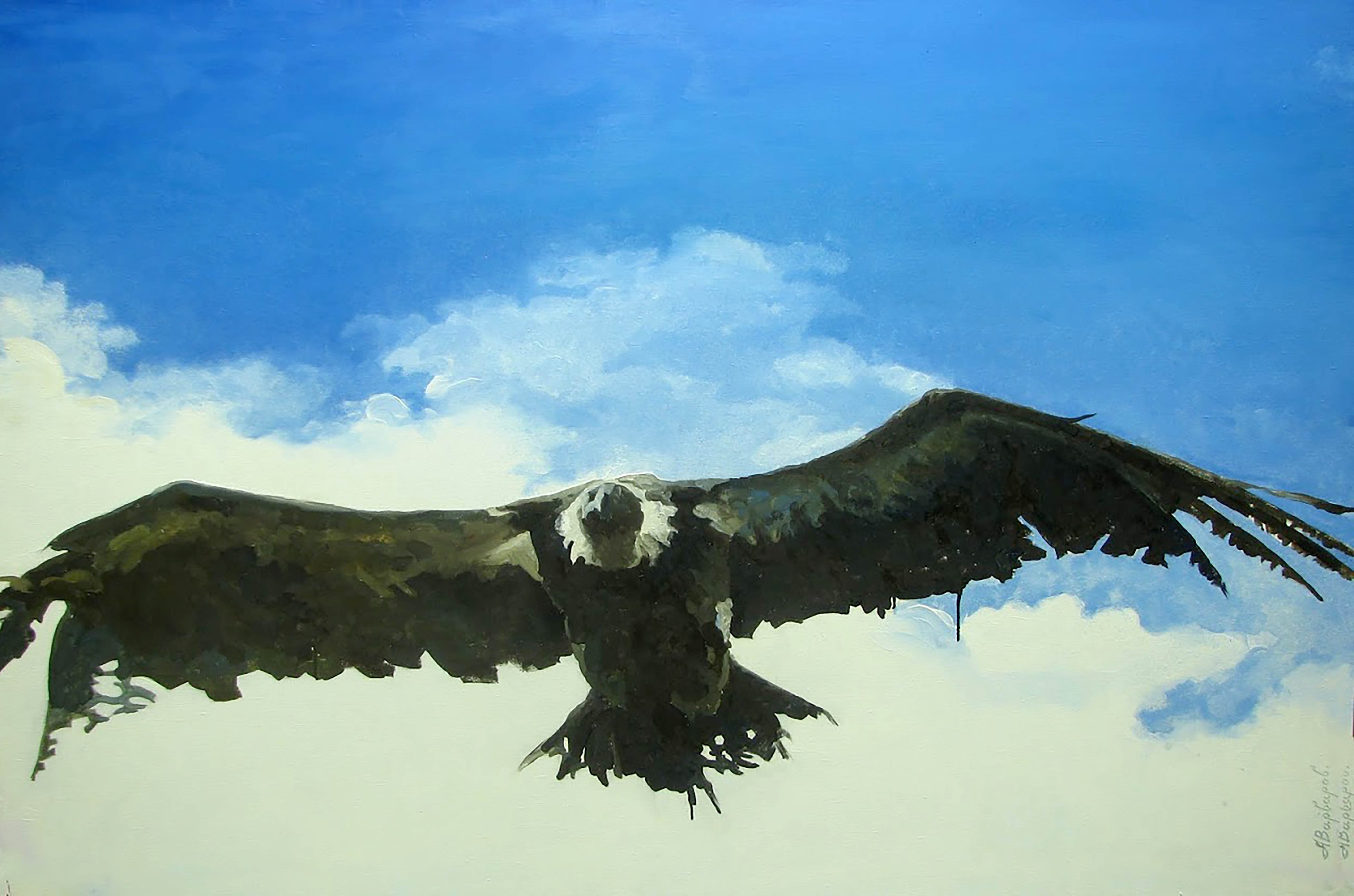 Vulture flying against a blue sky with clouds