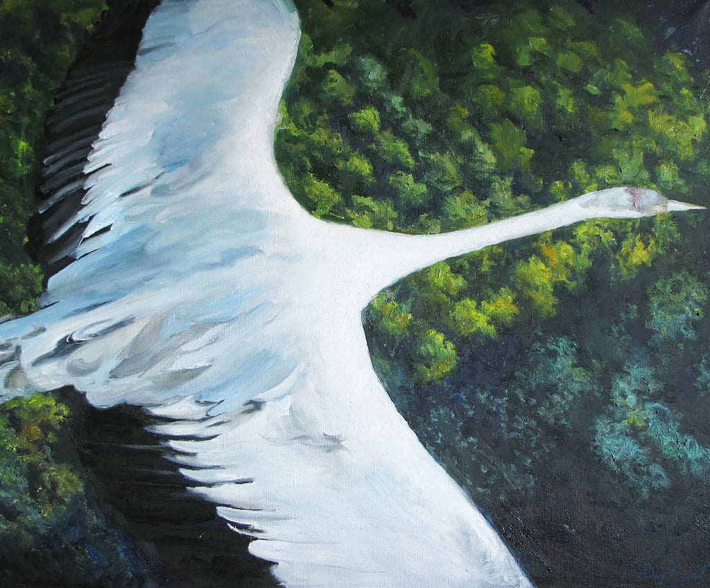Artistic depiction of a bird's wings with a forest background