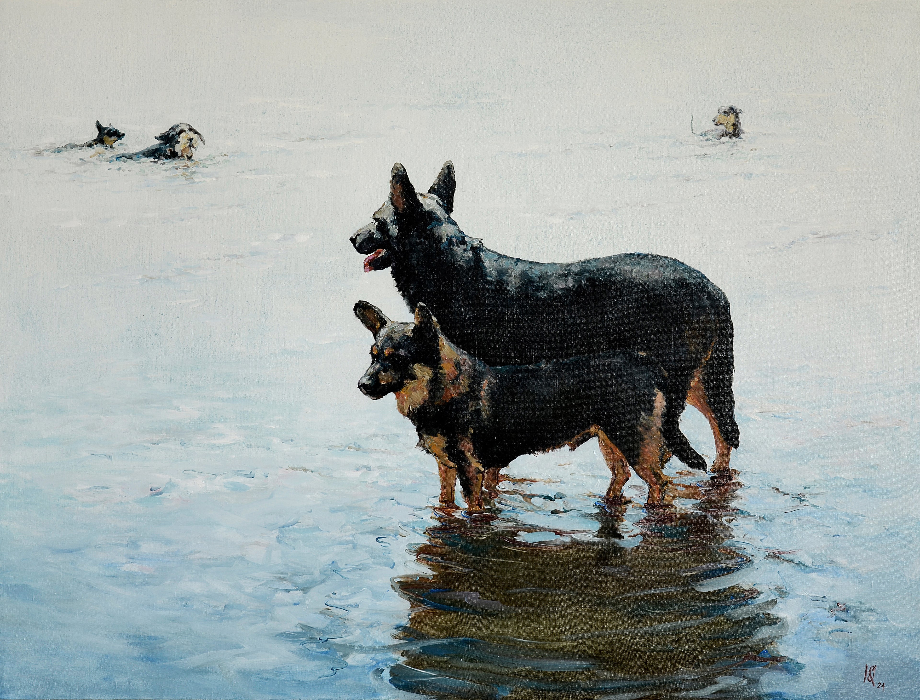 Two dogs standing in water with a snowy landscape in the background