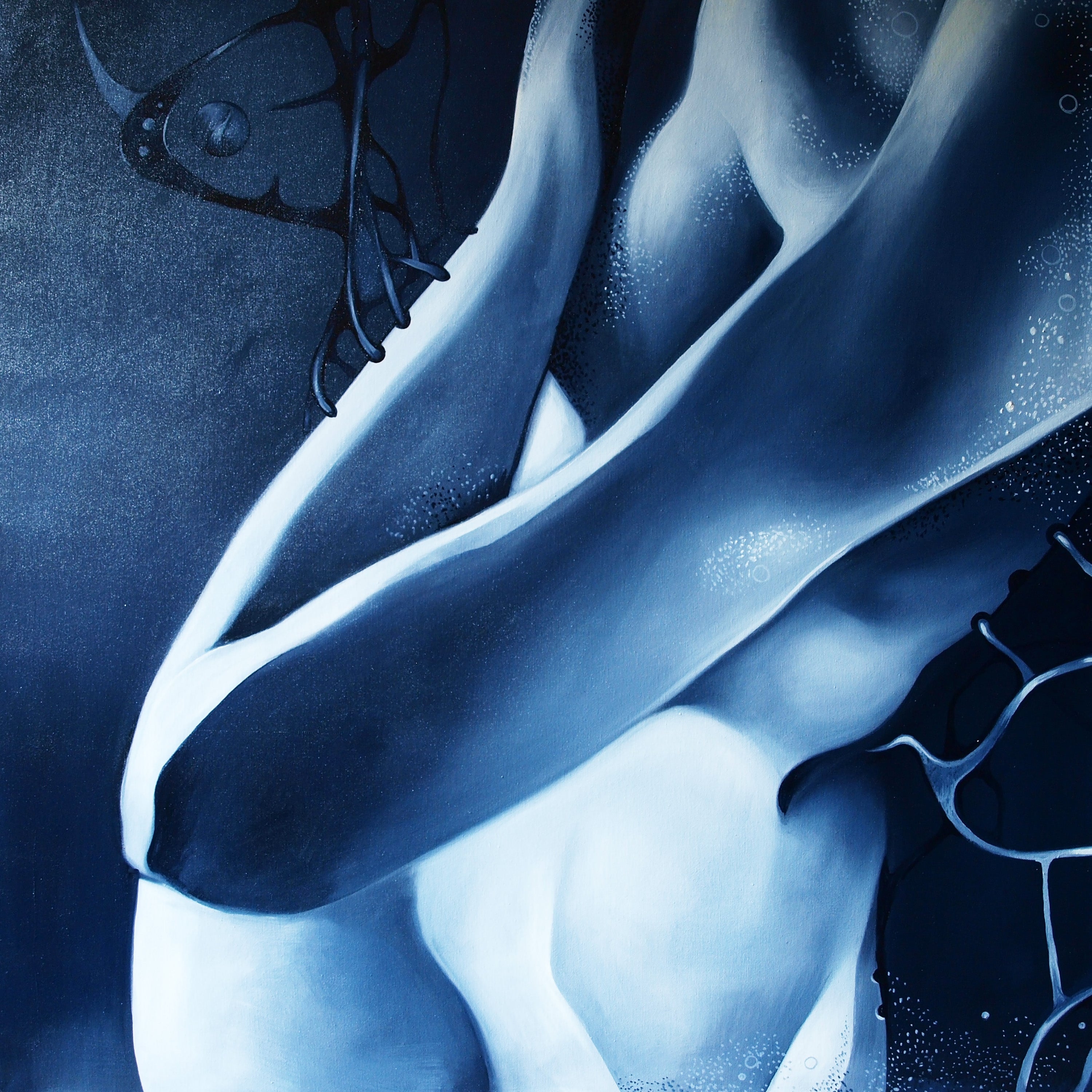 Touching Bodies