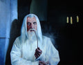 Mysterious Look (Scene from the film: The Lord of the Rings)