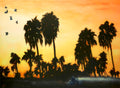 Silhouettes of palm trees against an orange sunset sky with birds flying.