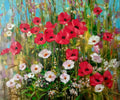 Red Poppies