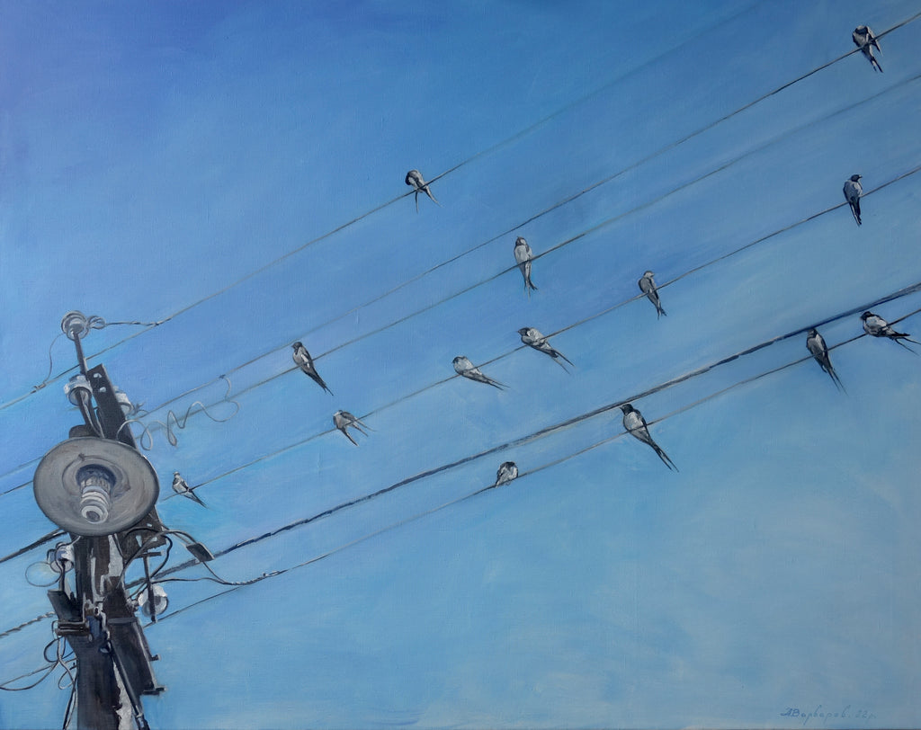 Birds perched on power lines against a blue sky