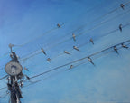 Birds perched on power lines against a blue sky