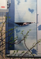 Window with blinds partially open, showing a person's face peeking out, with tree branches in the foreground.