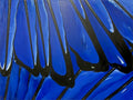 Wing Two