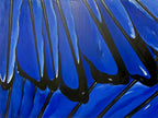 Wing Two