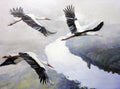 Three storks flying over a reflective water surface with a blurred natural background