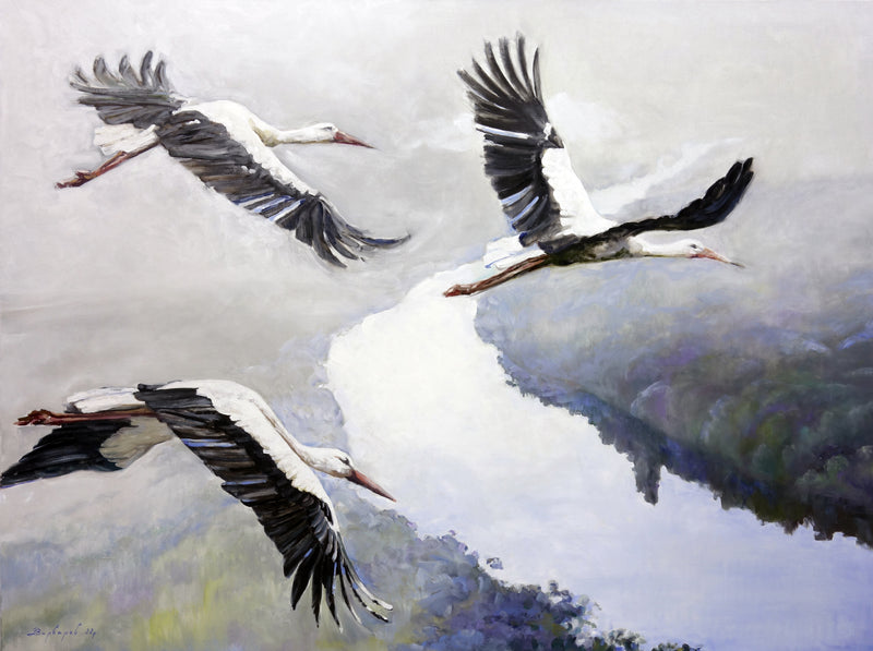 Three storks flying over a reflective water surface with a blurred natural background
