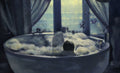 Person in a bathtub filled with bubbles, surrounded by butterflies and candles, with a large window in the background.