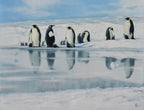 Group of penguins on a snowy landscape with a small pool of water.