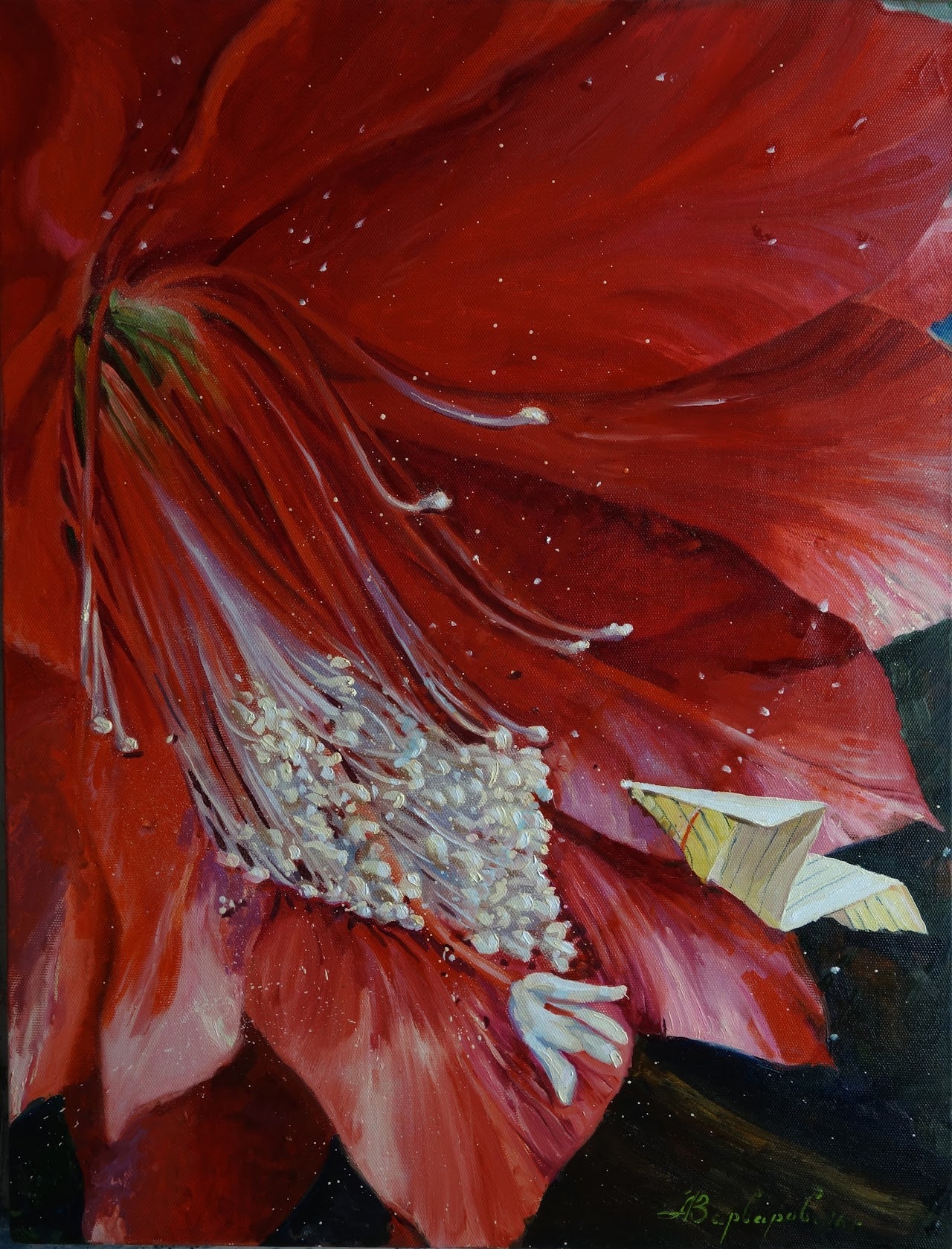 Close-up of a red flower with a dark background