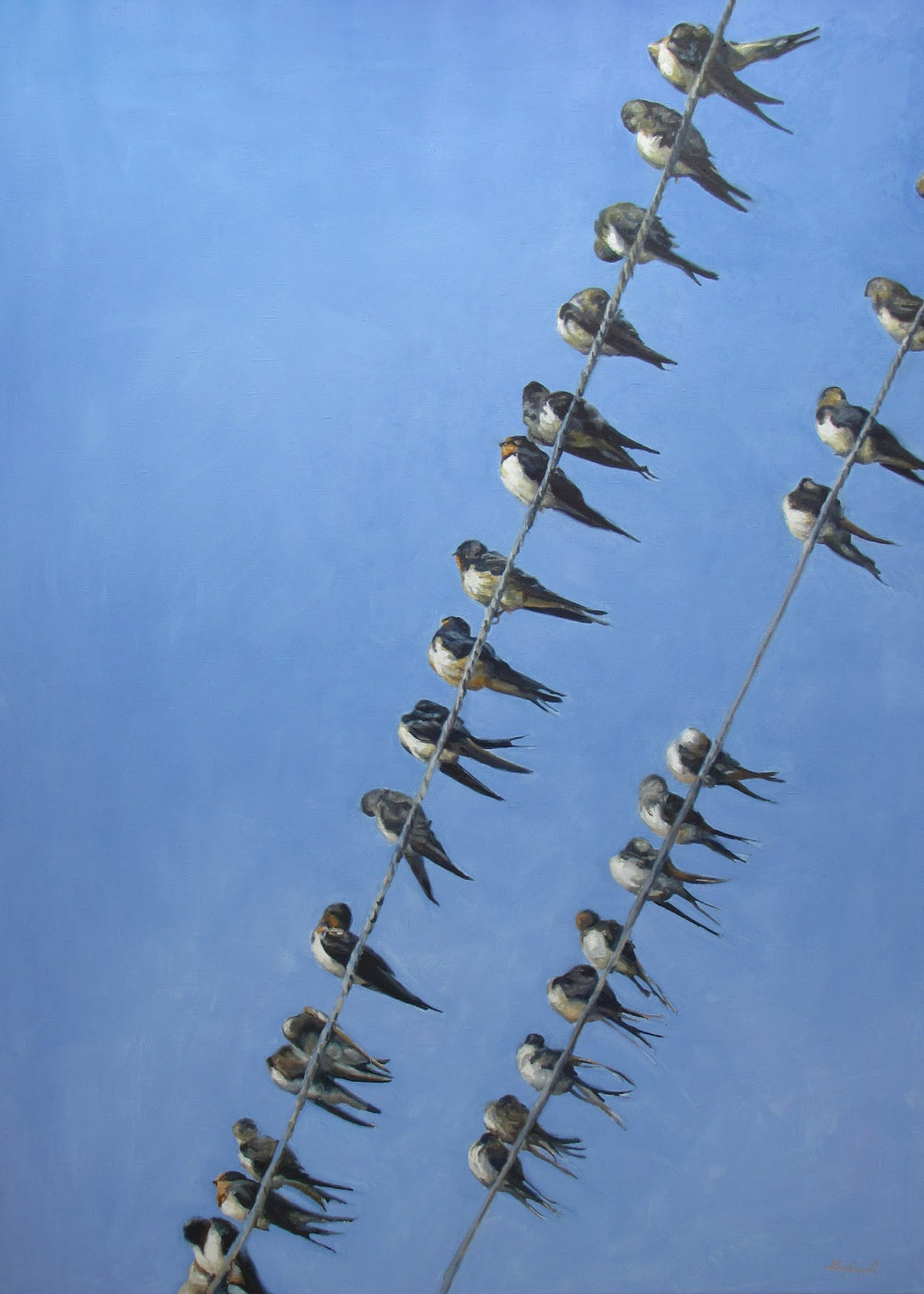 Birds perched on a power line against a blue sky