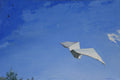 White kite flying against a blue sky with scattered clouds