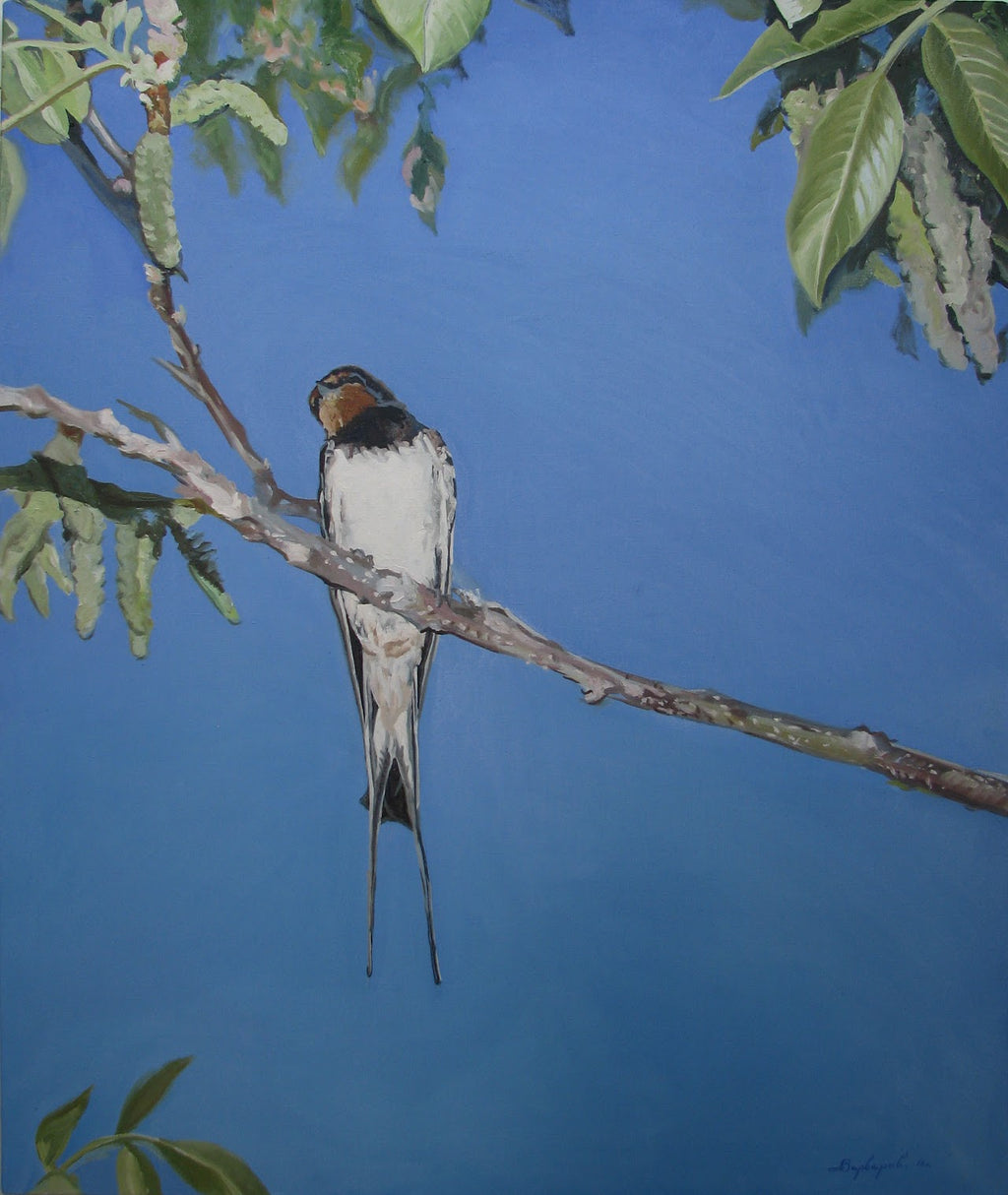 Bird perched on a branch with a blue background