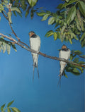 Two birds perched on a branch with a blue sky background