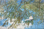 Painting of a bird perched on a branch with a blue sky background
