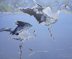 Two birds flying over water with a blue sky background