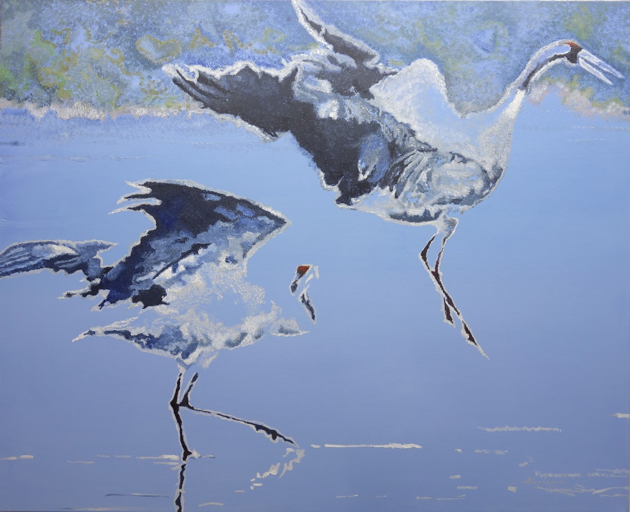 Two birds flying over water with a blue sky background