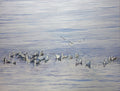 Seagulls on a calm water surface with a single seagull flying above.