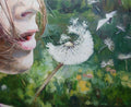 Artistic depiction of a face blowing dandelion seeds with a natural background