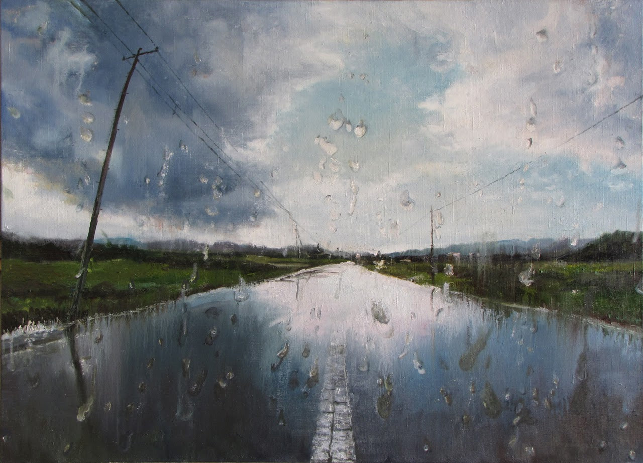 Raindrops on a car window with a view of a rural landscape.