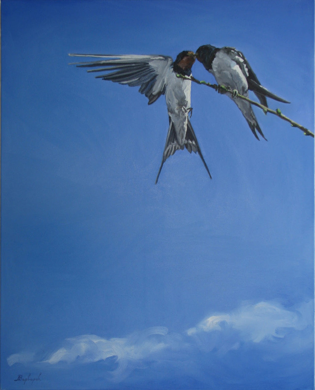 Two birds perched on a branch against a blue sky with a few clouds.