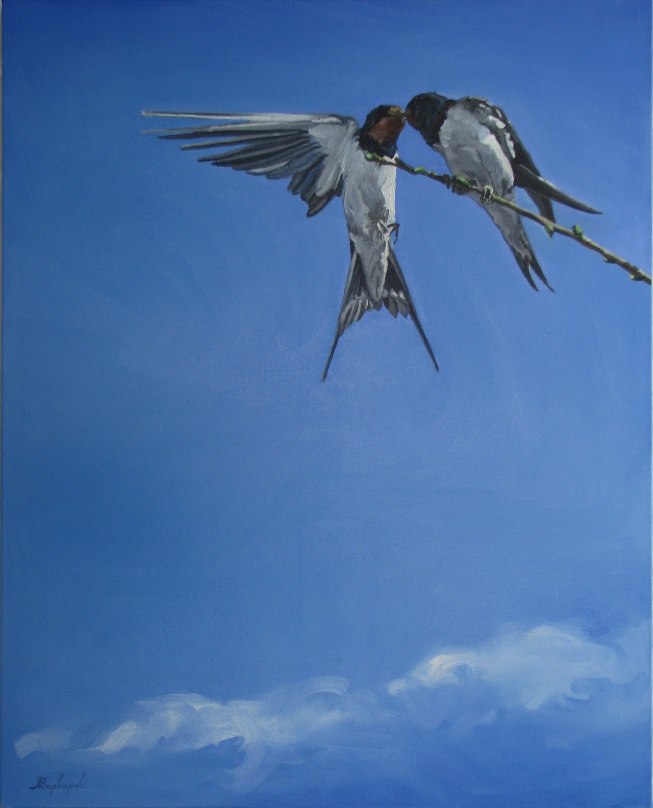 Two birds perched on a branch against a blue sky with a few clouds.
