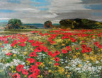 Poppy Field