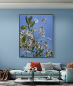 Framed floral artwork on a blue wall above a sofa with colorful cushions.